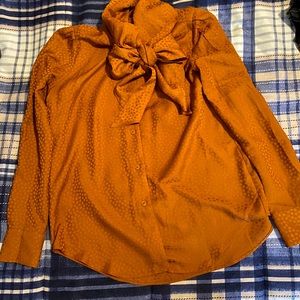 Ann Taylor Dot Blouse